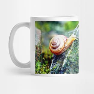 Garden Snail Mug